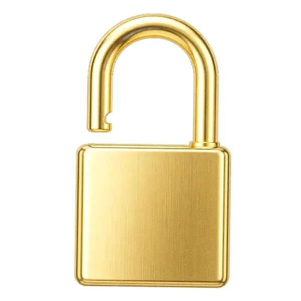 Padlock — Casino Tucan
